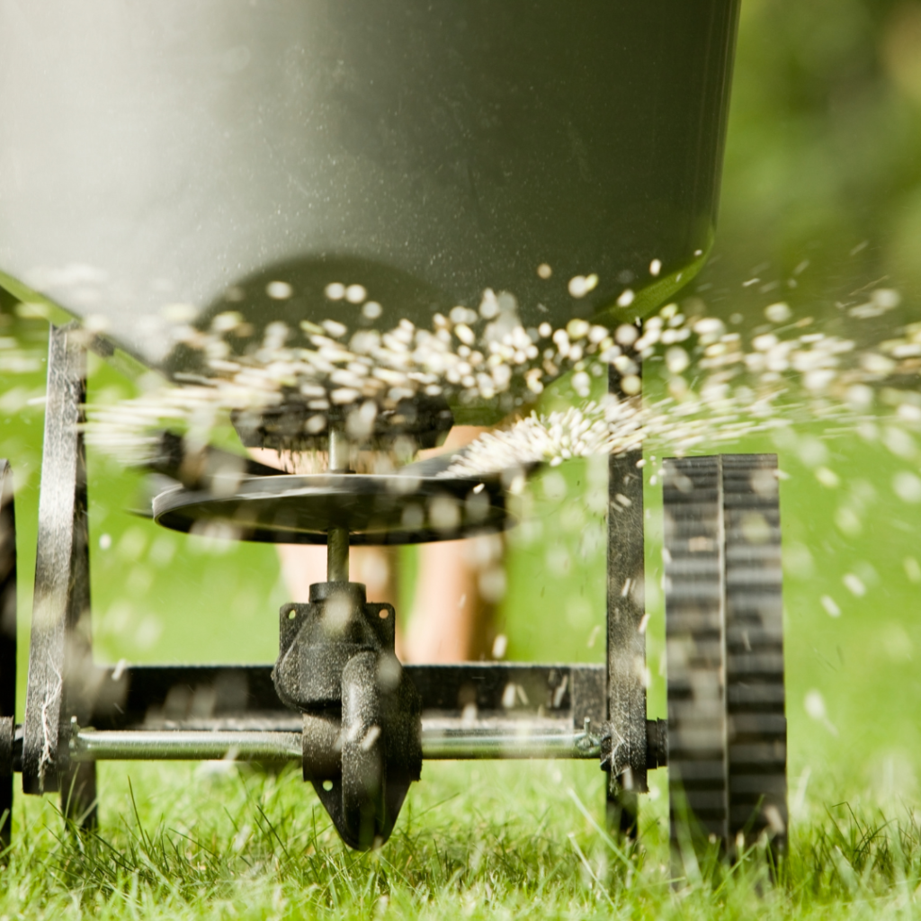 ​​Spring Awakening: The Importance of Early Season Lawn Fertilization